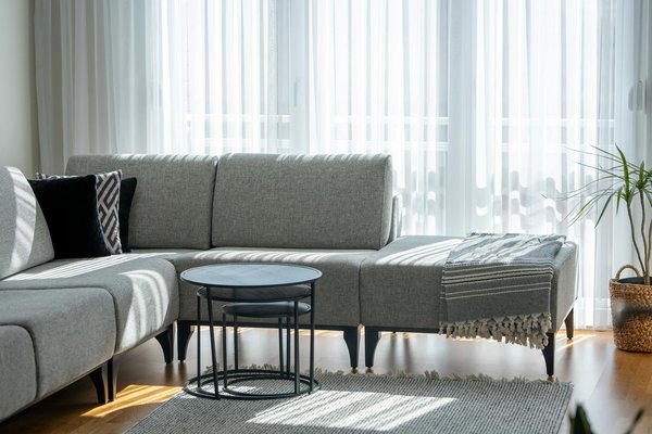 Comment attirer des oiseaux dans votre nichoir ?